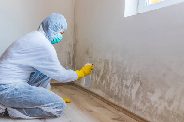 Licensed Hvac And Air Duct Mold Remediation service in Marshall, VA - Mold Remediation HQ